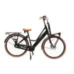 Elektrijalgratas Amsterdam Cargo | Naiste Elektrirattad
