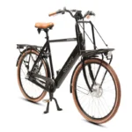 Elektrijalgratas Amsterdam Cargo | Meeste Elektrirattad